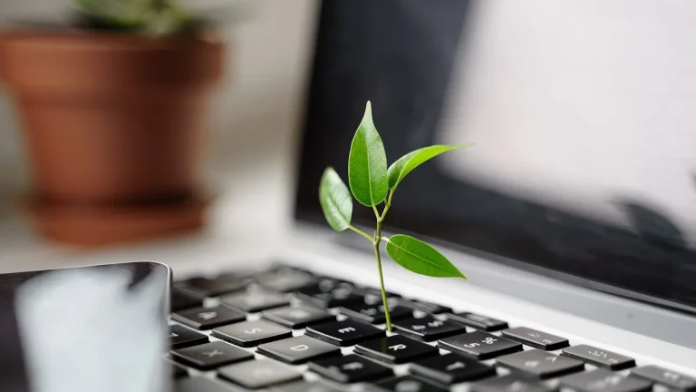 La huella de carbono de tu página web: ¿Qué es y cómo reducirla?, SEO, posicionamiento web, posicionamiento SEO, redes sociales, marketing digital, MoodWebs, huella de carbono